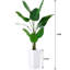 147cm Plant