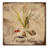 'Natural History' Graphic Art Print on Wrapped Canvas-23106758