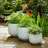 Clay Planters Modern Decorative Garden Pots Contemporary Rounded Design Sleek Style Indoor Outdoor Display Set Of 3