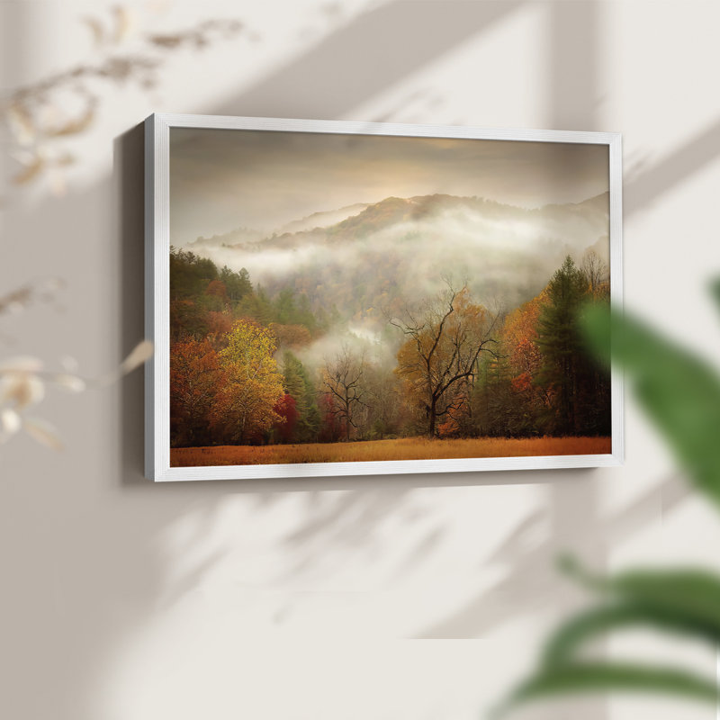 Étude de photographie brume d'automne - reproduction encadrée, H 22 po x l 28 po, Blanc