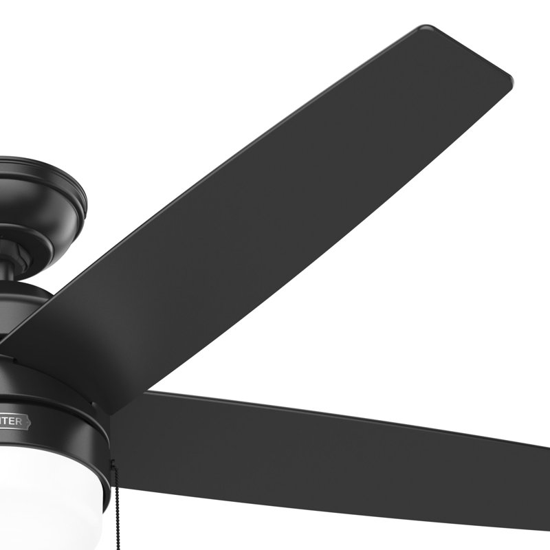 Bardot 52" 5 - Blade Ceiling Fan With Lights and Pull Chains, Matte Black