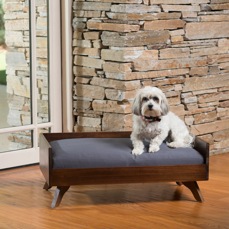 Lit pour chien moderne et contemporain