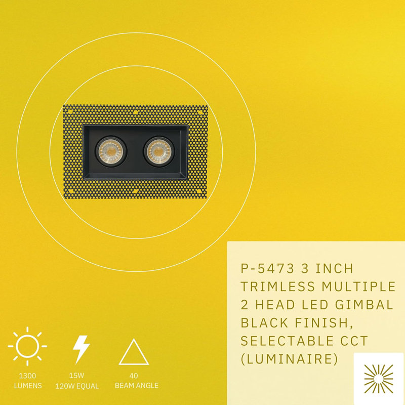 Luminaire à cardan à 3 têtes 15 W et 1 quincaillerie sans trépied 15 W? 1200 lumens Perlglow, Noir
