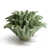Green est en rupture de stock