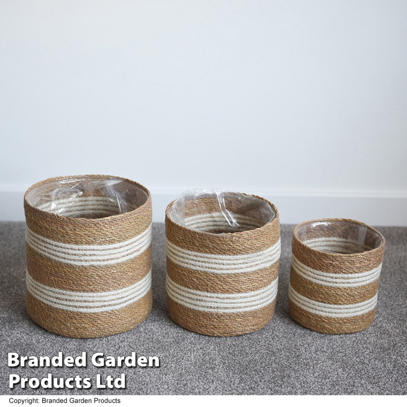 Nara Pot Planter