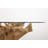Lorenz Dining Table
