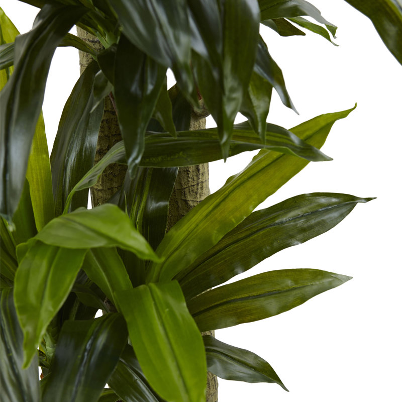 66 " H Faux Tree in Ceramic Planter