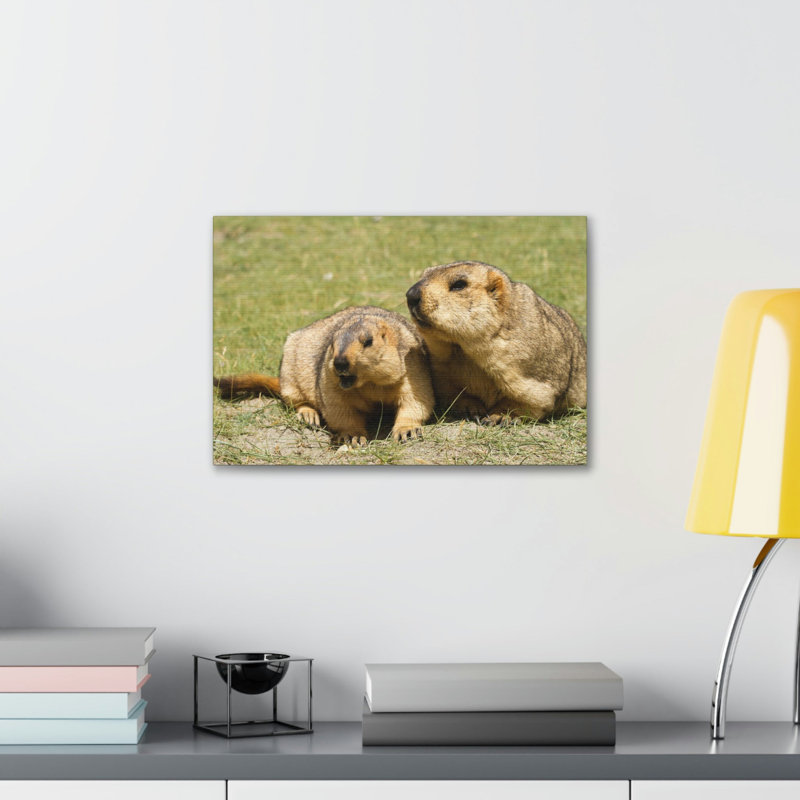 No Frame Print on Canvas, 27.94cm H x 35.56cm W