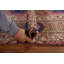 Tapis de couloir en laine Shiraz