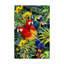 Reproduction d’art graphique sur toile tendue perroquet assis-26859943