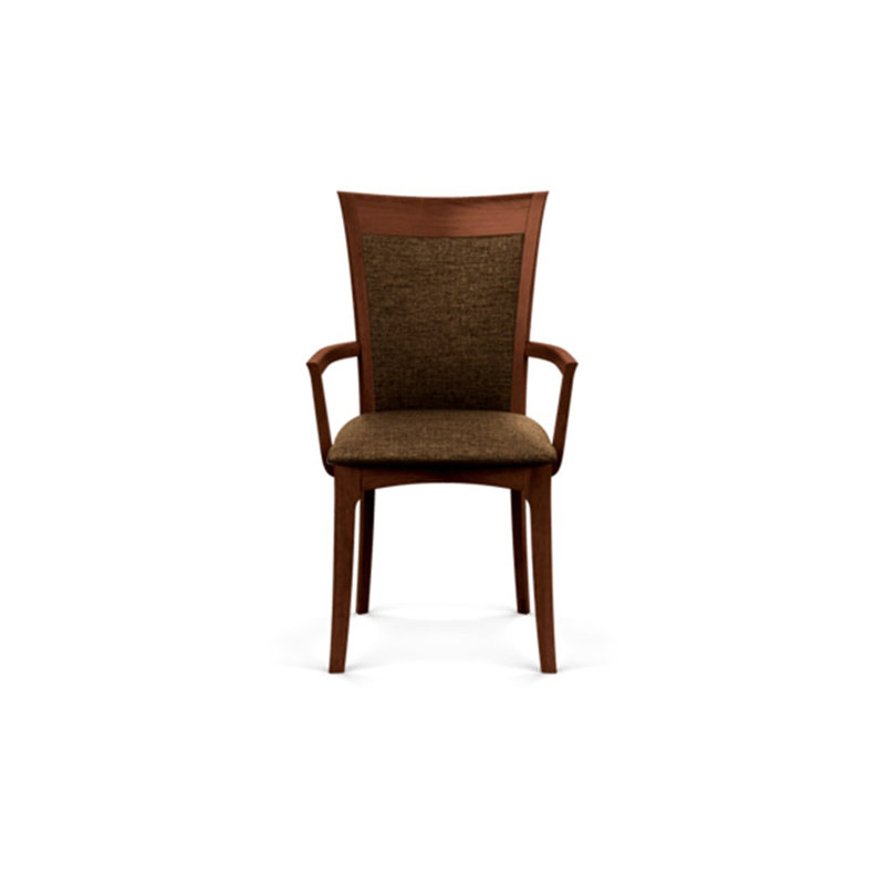 Morgan Upholstered Arm Chair, Cognac Cherry, Microseude Onyx