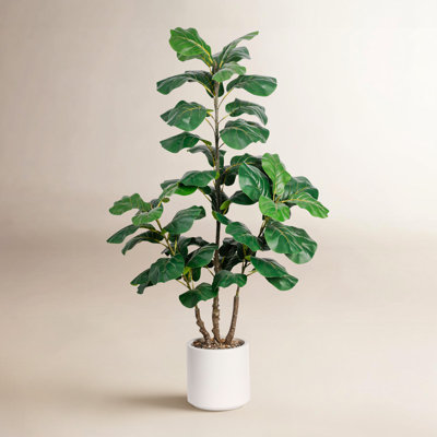 48" Fiddle Leaf Fig Tree in Pot