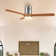 Amoni 52'' Ceiling Fan with LED Lights