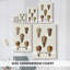 Collection Cone Shell II - Cavas enveloppés de galerie-108824969