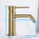 Modern Single-Hole Single-handle Bathroom Faucet with Drain Assembly
