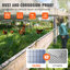 Chicken Fencing-399086183