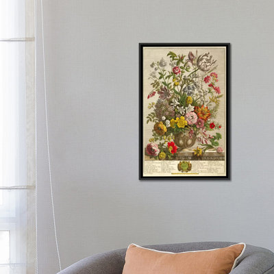 «May, from« Tw Douze mois de fleurs »par Robert Furber, reproduction d'art sur toile encadrée