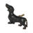 6 Piece Oversized Decorative Dachshund Novelty Knob Multipack
