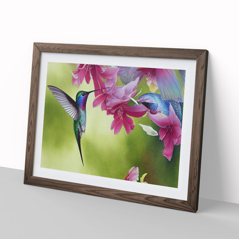 Hummingbird Vol.1 - Single Picture Frame Print, 34cm H x 46cm W x 2cm D, Walnut Framed