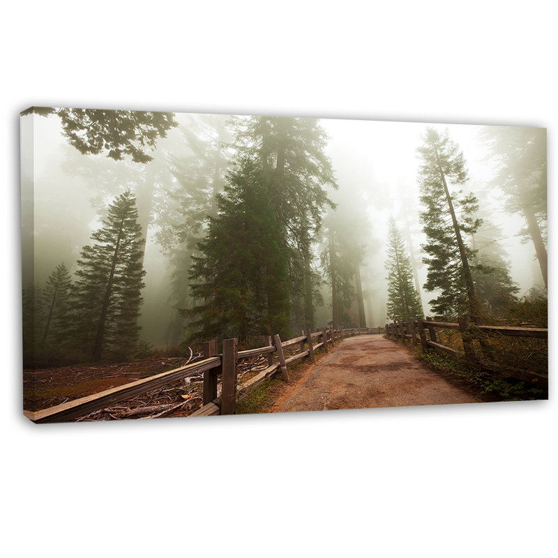Foggy Sequoya National Park - reproduction de photo sur toile tendue, H 16 po x l 32 po