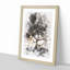 Leopard Siesta - Framed Print-56741748-56741749