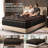 12'' Medium Firm Hybrid Mattress in a Box with Cooling Gel Memory Foam & Pocket Coils, Fiberglass Free-715527443-715527442