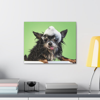 «Funny Chihuahua Bath», art mural sur toile