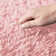 Talethia Standard Shag Area Rug