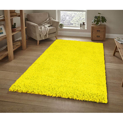 Alissya Shag 120cm X 160cm Area Rug