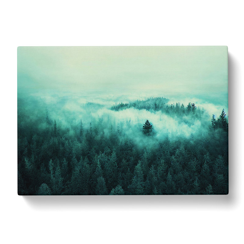 Authentic Pine Tree Forest - Wrapped Canvas, 35cm H x 50cm W x 3cm D