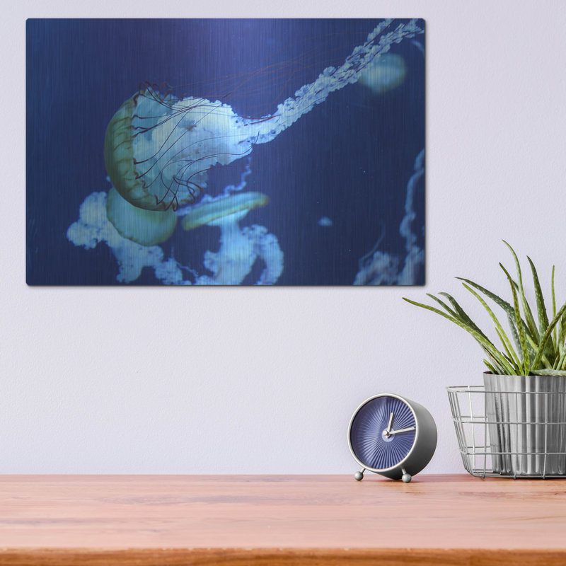 «Jelly» par PhotoINC Studio, H 12 po x l 16 po 
