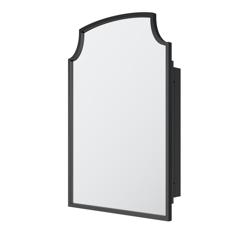 Dolly 20" W X 30" H Medicine Cabinet With Mirror, Matte Black