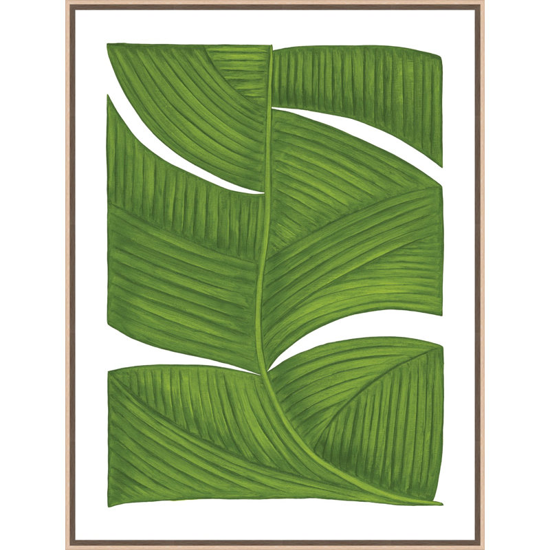 Botanicus Duodecim 1 Print, 60.25" H x 46.25" W