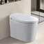 Tankless Smart Toilet With Bidet Built In, One-Piece, Auto Flush, Auto Open/Close,Heated Seat, Bubble Wash,Warm Water And Dry, Adjustable Temp,Remote Control Side Know