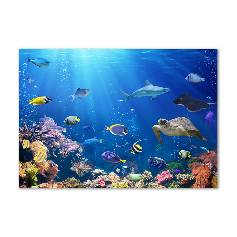 Coral reef 1 Piece Wrapped Canvas Wall Art