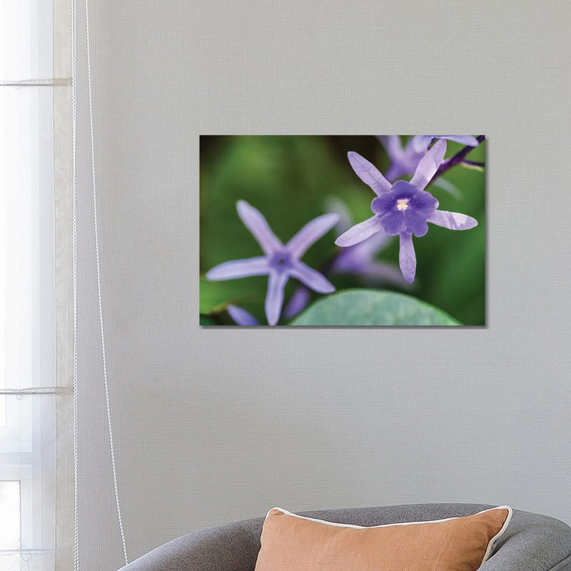Purple Flower Of A Flower by Glauco Meneghelli - Wrapped Canvas Print, 66.04 cm H x 45.72 cm W