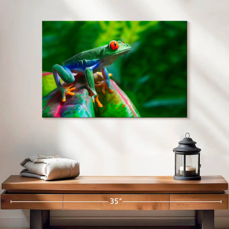 Crowle Red Eyed Frog