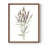 Dainty Botanical III Framed Print - Solid Wood-1968897780-1968897781