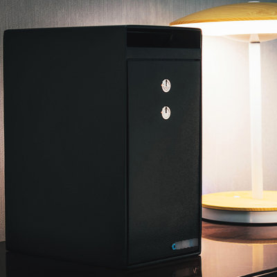Coffre-fort de 27 pi³ avec porte en acier massif et dispositif antivol. Dimensions : 9 po x 6 po x 12 po.