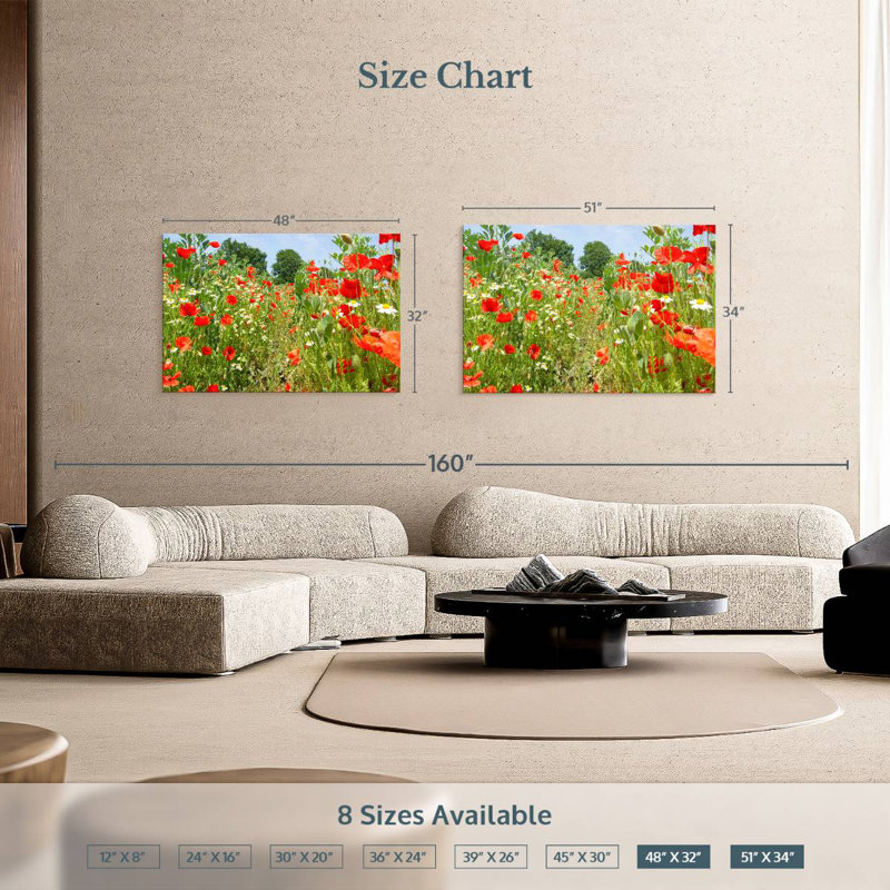Alvord Poppies And Daisies, 34" H x 51" W