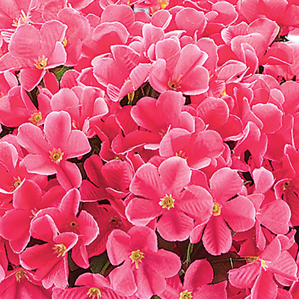 Buissons suspendus artificiels, Fuchsia