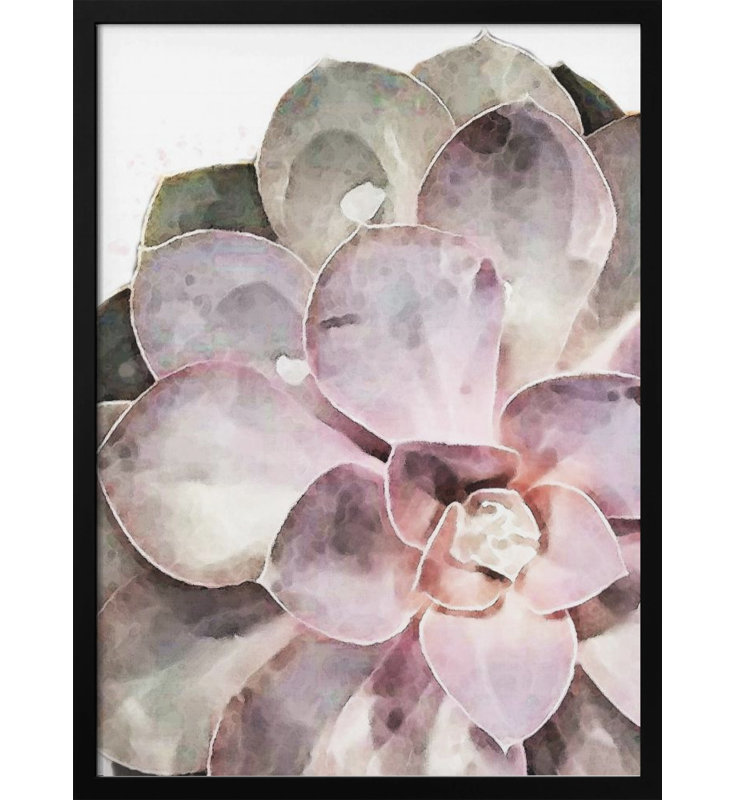 «Succulent Gros plan», art mural texturé encadré, Noir, H 14 po x l 10 po