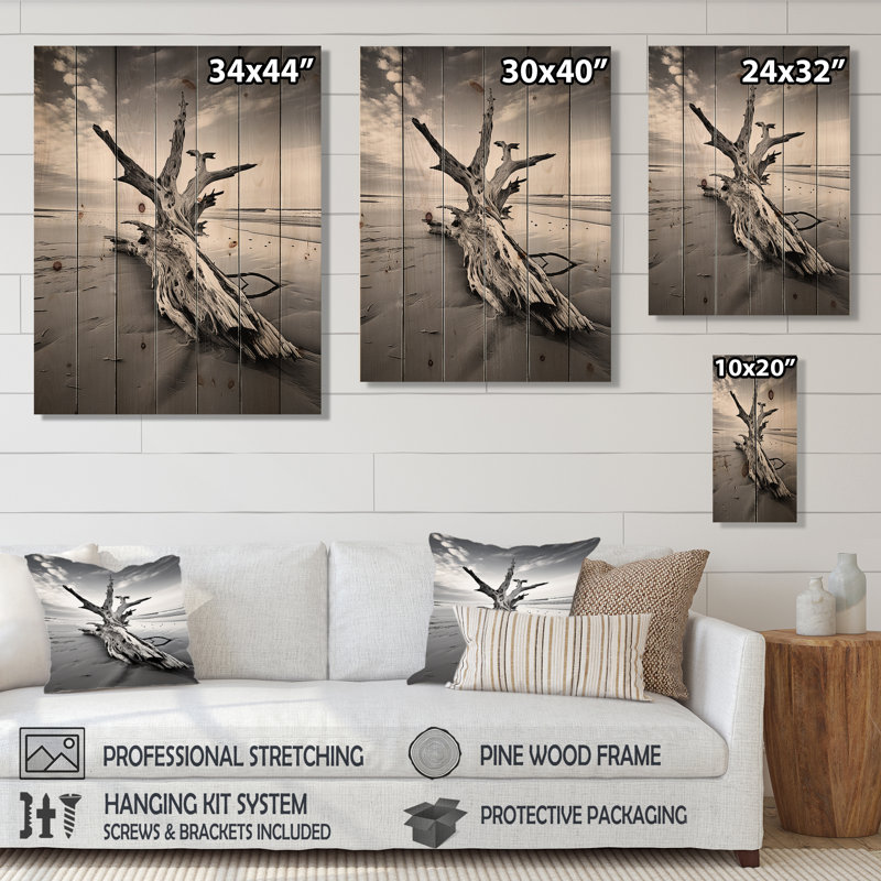 Beach Driftwood Photo III sur bois, H 32 po x l 24 po x P 0,78 po