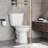 Two-Piece Toilet For Bathrooms, 19" Extra Elongated Toilet Bowl With Soft Close Seat/Single Flush