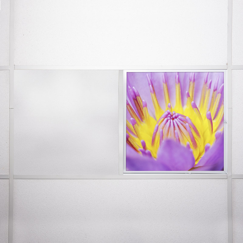 Flower Square Fixture Component Ceiling Light