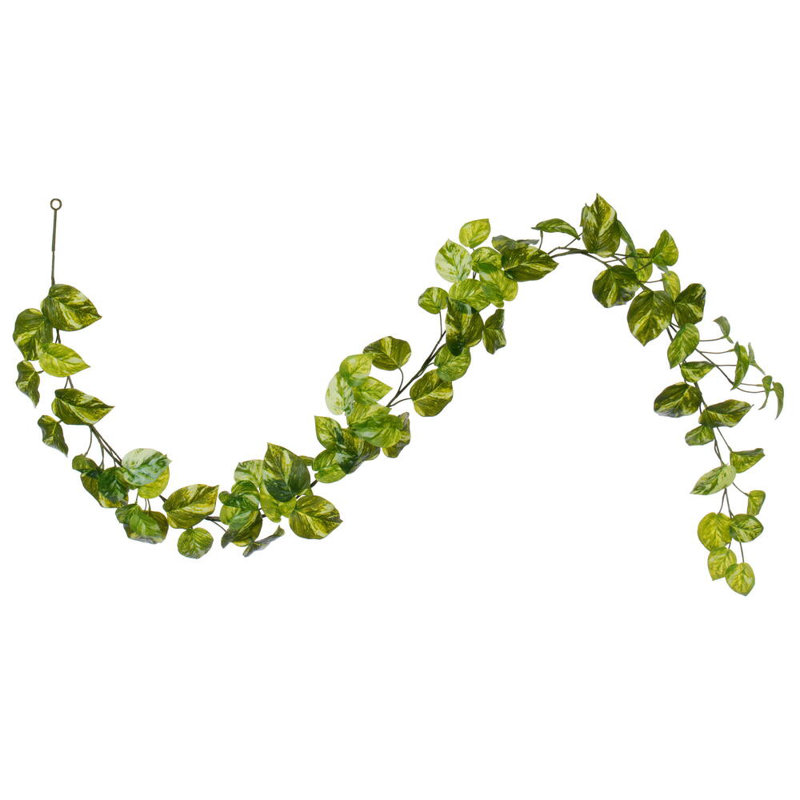 Guirlande Vickerman Manjula Pothos