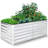 Denishia Belisle 6 ft x 3 ft Galvanized Metal Outdoor Raised Garden Bed Planter Box for Vegetables, Fruits-1353615017-1357737634