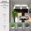 Shuntavia Spotlight-1064293459