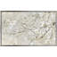 Confettis en fleurs - Peinture-338040731-338040726