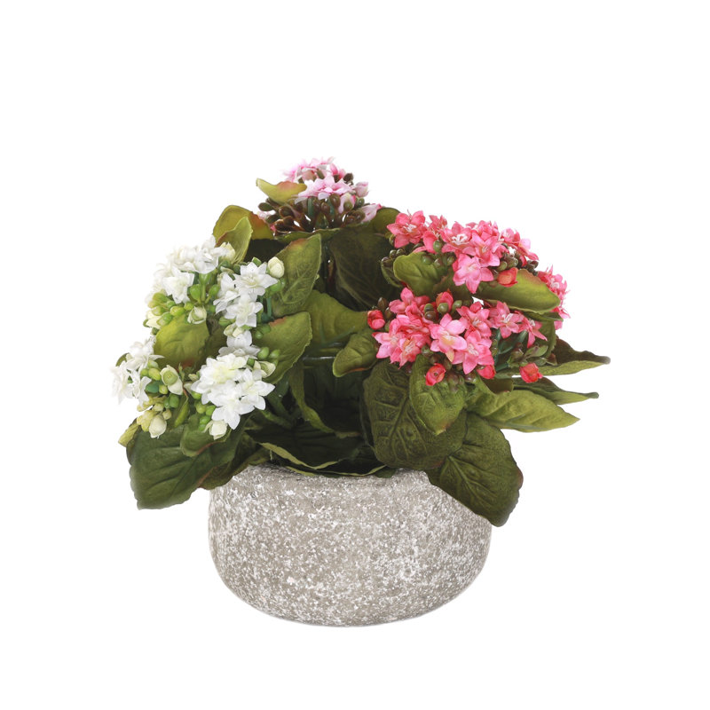 Arrangement de roses en pot, Rouge / rose / jaune